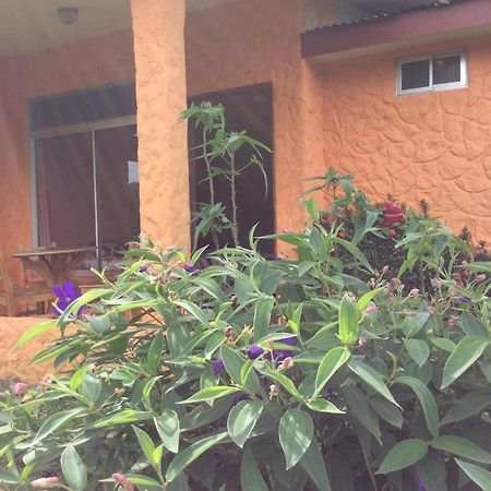 Cabinas Los Guayabos Hotel La Fortuna Exterior foto