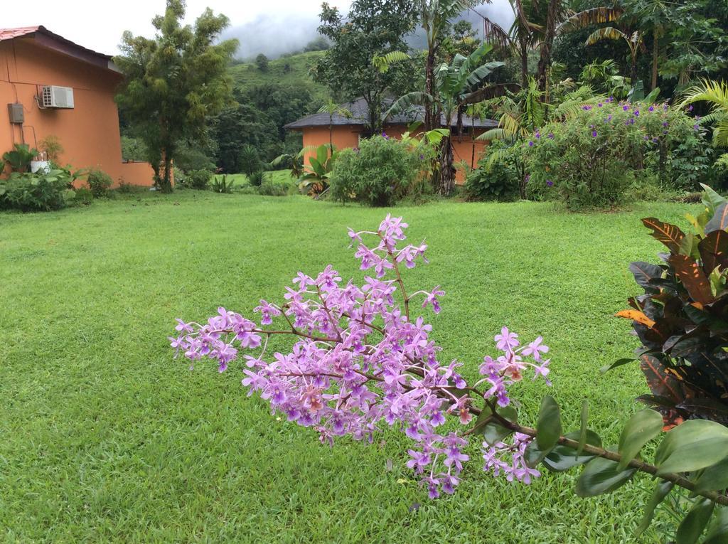 Cabinas Los Guayabos Hotel La Fortuna Exterior foto